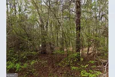 100 River Shoals Ct, Covington, GA 30016 - Photo 5