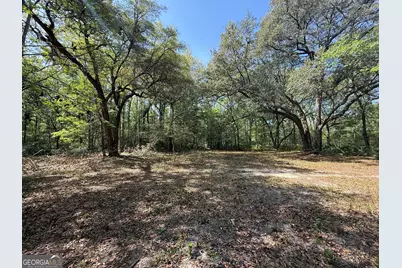 315 High Bluff Road, Rincon, GA 31326 - Photo 3