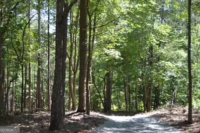 913 Paynes Creek Road #LOT 11, Hartwell, GA 30643 - Photo 7