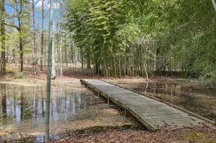 238 Kirkley Rd, Tyrone, GA 30290 - Photo 23