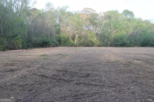 238 Kirkley Rd, Tyrone, GA 30290 - Photo 51