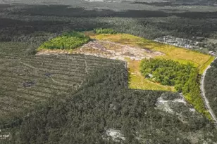 26 Capt Hanks Rd, Woodbine, GA 31569 - Photo 1