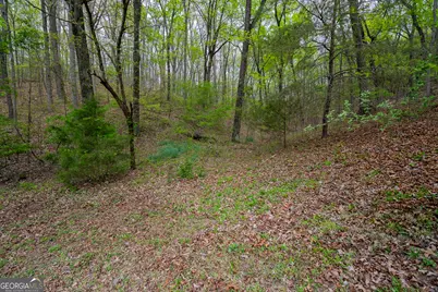 202 Fair Street, Summerville, GA 30747 - Photo 31