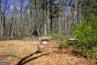 0 Hale Ridge Road, Clayton, GA 30525 - Photo 25
