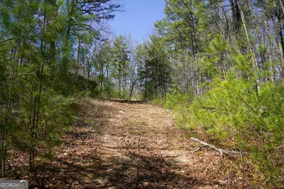 0 Hale Ridge Road, Clayton, GA 30525 - Photo 23