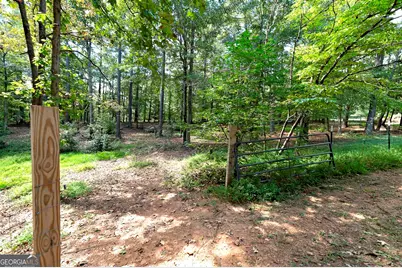 447 Grandview Road, Mansfield, GA 30055 - Photo 43