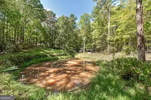 447 Grandview Rd, Mansfield, GA 30055 - Photo 35