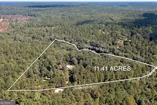 447 Grandview Rd, Mansfield, GA 30055 - Photo 57