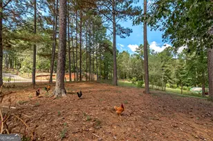 447 Grandview Rd, Mansfield, GA 30055 - Photo 31