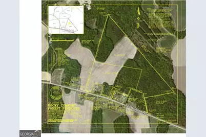 0 Scotts Store Road, Millen, GA 30442 - Photo 13