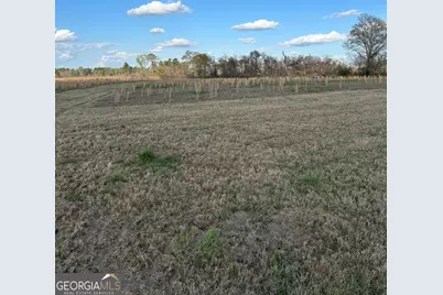 0 Scotts Store Road, Millen, GA 30442 - Photo 11