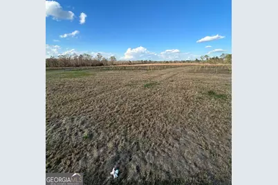 0 Scotts Store Road, Millen, GA 30442 - Photo 5