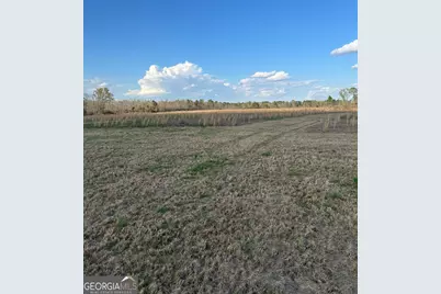0 Scotts Store Road, Millen, GA 30442 - Photo 9