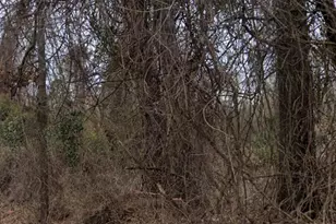 450 Old Princeton Rd, Athens, GA 30606 - Photo 1