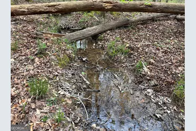 2246 Neal Gap Road, Summerville, GA 30747 - Photo 33