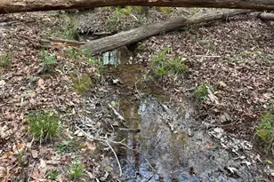 2246 Neal Gap Rd, Summerville, GA 30747 - Photo 33