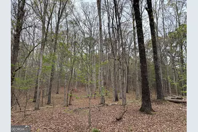 2246 Neal Gap Road, Summerville, GA 30747 - Photo 9