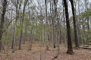 2246 Neal Gap Rd, Summerville, GA 30747 - Photo 9