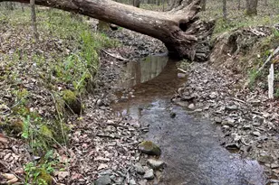 2246 Neal Gap Rd, Summerville, GA 30747 - Photo 35