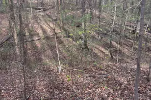 2246 Neal Gap Rd, Summerville, GA 30747 - Photo 43