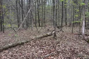 2246 Neal Gap Rd, Summerville, GA 30747 - Photo 37