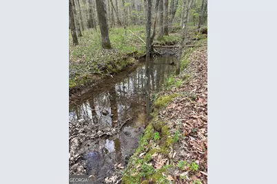 2246 Neal Gap Road, Summerville, GA 30747 - Photo 39