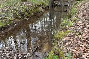 2246 Neal Gap Rd, Summerville, GA 30747 - Photo 39