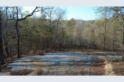 0 Purvis Road, Baldwin, GA 30511 - Photo 3