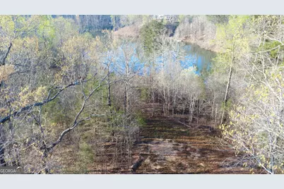 0 Purvis Road, Baldwin, GA 30511 - Photo 1