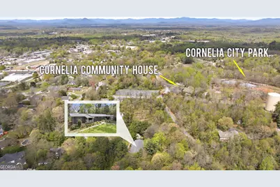 490 Maple Street, Cornelia, GA 30531 - Photo 75