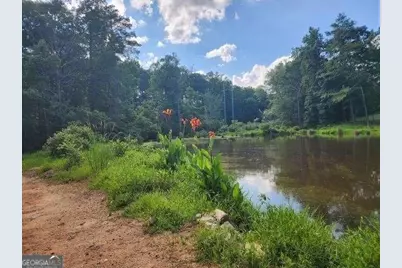 120 Bridgemill Drive, Hampton, GA 30228 - Photo 5