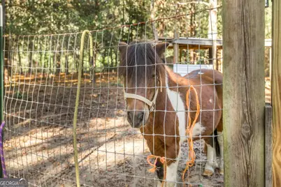 5451 Walton Road, Fort Valley, GA 31030 - Photo 43