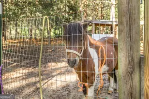 5451 Walton Rd, Fort Valley, GA 31030 - Photo 43