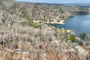 1601 Shady Falls Rd, Blue Ridge, GA 30513 - Photo 45