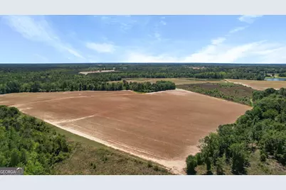 0 Middleground Road #TRACT 1, Statesboro, GA 30461 - Photo 9
