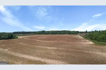 0 Middleground Road #TRACT 1, Statesboro, GA 30461 - Photo 7