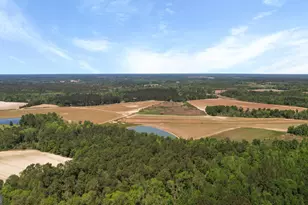 0 Middle Ground Rd, Statesboro, GA 30461 - Photo 1
