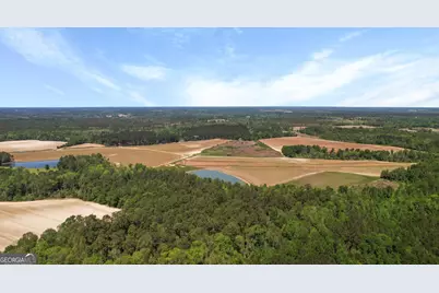 0 Middleground Road #TRACT 2, Statesboro, GA 30461 - Photo 3