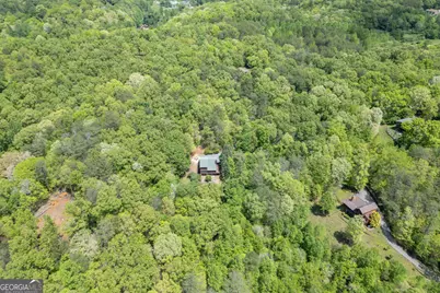 1204 Brookhaven Lane, Blue Ridge, GA 30513 - Photo 37