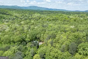 1204 Brookhaven Ln, Blue Ridge, GA 30513 - Photo 39
