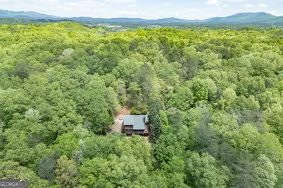 1204 Brookhaven Lane, Blue Ridge, GA 30513 - Photo 47