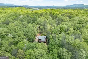 1204 Brookhaven Ln, Blue Ridge, GA 30513 - Photo 47