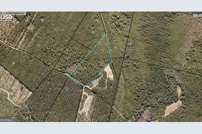 0 Long Ford Road, Jesup, GA 31546 - Photo 7