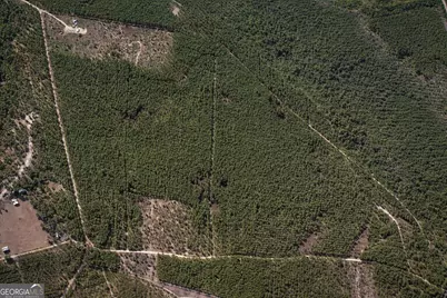 0 Long Ford Road, Jesup, GA 31546 - Photo 3