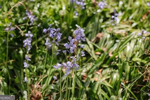 2866 Booger Hill Rd, Danielsville, GA 30633 - Photo 67