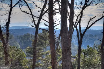 142 Red Oak Trail, Ellijay, GA 30540 - Photo 43