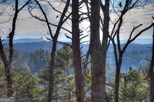 142 Red Oak Trl, Ellijay, GA 30540 - Photo 43