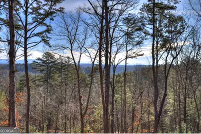 142 Red Oak Trail, Ellijay, GA 30540 - Photo 37