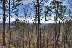 142 Red Oak Trl, Ellijay, GA 30540 - Photo 37