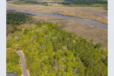 Lot 46 Waverly Lane, White Oak, GA 31568 - Photo 5